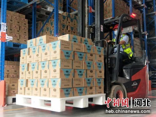 河北威縣依托奶業(yè)推進鄉(xiāng)村振興 打造 威縣樣板